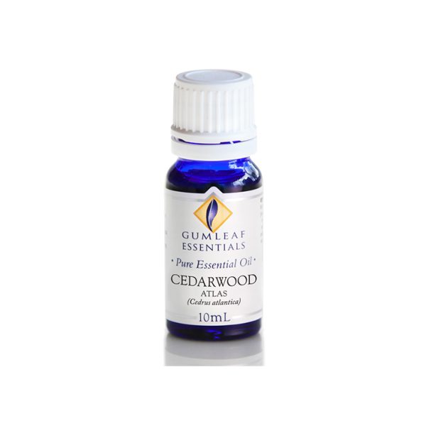 Cedarwood Atlas Essential Oil - Gumleaf