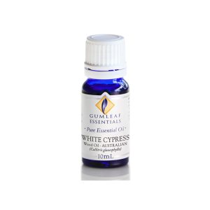 Cypress (White) Essential Oil 100% Pure by Gumleaf