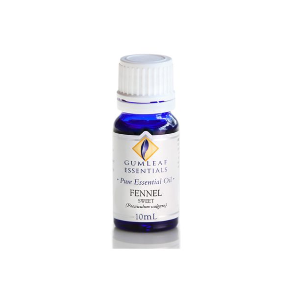 Fennel Sweet Essential Oil 100% Pure by Gumleaf