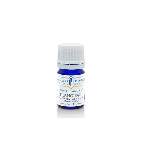 Frangipani Plumeria Absolute 5ml by Gumleaf