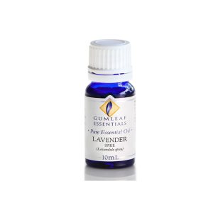 Lavender Spike Essential Oil 100% Pure by Gumleaf